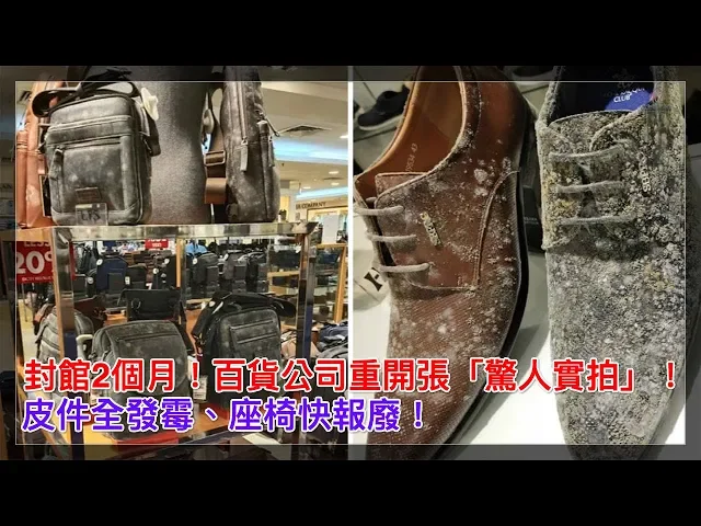封館2個月!百貨公司重開張「驚人實拍」!皮件全發霉、座椅快報廢!【人生勝利組】